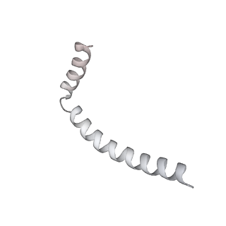 43327_8vkq_HC_v1-0
CW Flagellar Switch Complex - FliF, FliG, FliM, and FliN forming the C-ring from Salmonella