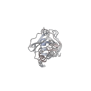 43327_8vkq_HD_v1-0
CW Flagellar Switch Complex - FliF, FliG, FliM, and FliN forming the C-ring from Salmonella