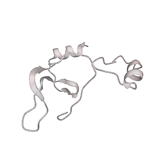 43327_8vkq_HE_v1-0
CW Flagellar Switch Complex - FliF, FliG, FliM, and FliN forming the C-ring from Salmonella