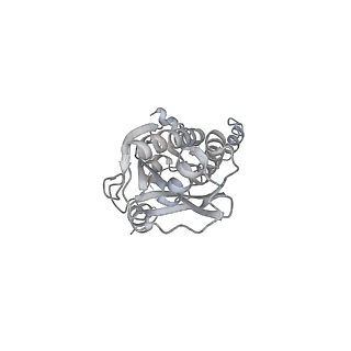 43327_8vkq_HG_v1-0
CW Flagellar Switch Complex - FliF, FliG, FliM, and FliN forming the C-ring from Salmonella