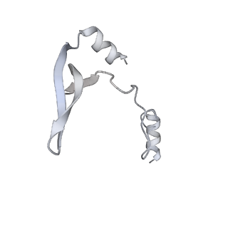 43327_8vkq_H_v1-0
CW Flagellar Switch Complex - FliF, FliG, FliM, and FliN forming the C-ring from Salmonella