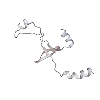 43327_8vkq_IA_v1-0
CW Flagellar Switch Complex - FliF, FliG, FliM, and FliN forming the C-ring from Salmonella