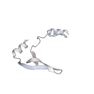 43327_8vkq_IB_v1-0
CW Flagellar Switch Complex - FliF, FliG, FliM, and FliN forming the C-ring from Salmonella