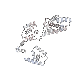 43327_8vkq_IC_v1-0
CW Flagellar Switch Complex - FliF, FliG, FliM, and FliN forming the C-ring from Salmonella