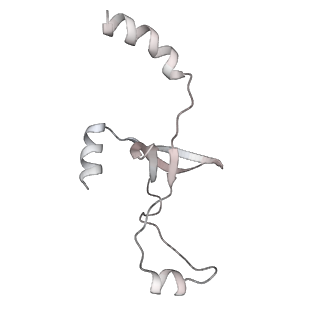 43327_8vkq_ID_v1-0
CW Flagellar Switch Complex - FliF, FliG, FliM, and FliN forming the C-ring from Salmonella