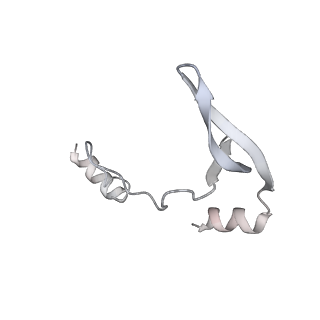 43327_8vkq_IE_v1-0
CW Flagellar Switch Complex - FliF, FliG, FliM, and FliN forming the C-ring from Salmonella