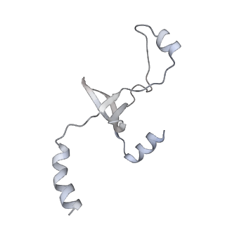 43327_8vkq_IG_v1-0
CW Flagellar Switch Complex - FliF, FliG, FliM, and FliN forming the C-ring from Salmonella