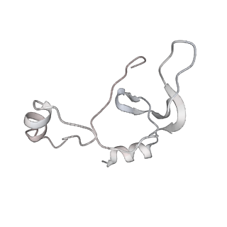 43327_8vkq_JA_v1-0
CW Flagellar Switch Complex - FliF, FliG, FliM, and FliN forming the C-ring from Salmonella