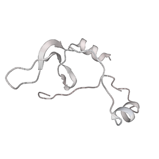 43327_8vkq_JD_v1-0
CW Flagellar Switch Complex - FliF, FliG, FliM, and FliN forming the C-ring from Salmonella