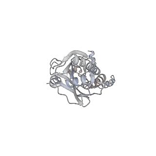 43327_8vkq_JF_v1-0
CW Flagellar Switch Complex - FliF, FliG, FliM, and FliN forming the C-ring from Salmonella