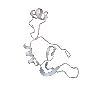 43327_8vkq_JG_v1-0
CW Flagellar Switch Complex - FliF, FliG, FliM, and FliN forming the C-ring from Salmonella