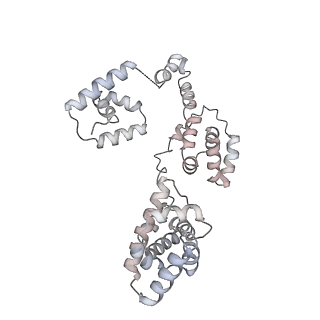 43327_8vkq_J_v1-0
CW Flagellar Switch Complex - FliF, FliG, FliM, and FliN forming the C-ring from Salmonella
