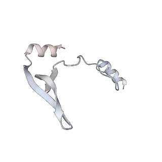 43327_8vkq_KA_v1-0
CW Flagellar Switch Complex - FliF, FliG, FliM, and FliN forming the C-ring from Salmonella