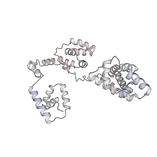 43327_8vkq_KB_v1-0
CW Flagellar Switch Complex - FliF, FliG, FliM, and FliN forming the C-ring from Salmonella