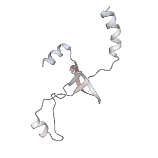 43327_8vkq_KC_v1-0
CW Flagellar Switch Complex - FliF, FliG, FliM, and FliN forming the C-ring from Salmonella