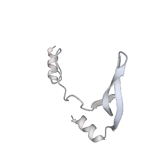 43327_8vkq_KD_v1-0
CW Flagellar Switch Complex - FliF, FliG, FliM, and FliN forming the C-ring from Salmonella