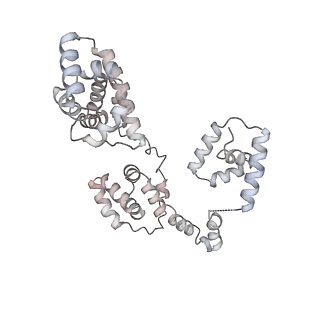 43327_8vkq_KE_v1-0
CW Flagellar Switch Complex - FliF, FliG, FliM, and FliN forming the C-ring from Salmonella