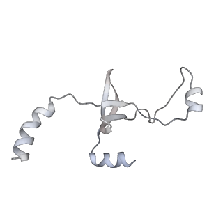 43327_8vkq_KF_v1-0
CW Flagellar Switch Complex - FliF, FliG, FliM, and FliN forming the C-ring from Salmonella