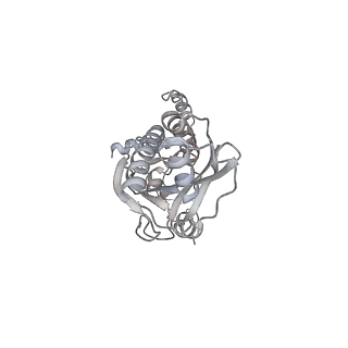 43327_8vkq_K_v1-0
CW Flagellar Switch Complex - FliF, FliG, FliM, and FliN forming the C-ring from Salmonella