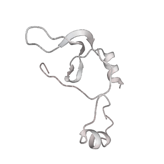 43327_8vkq_LC_v1-0
CW Flagellar Switch Complex - FliF, FliG, FliM, and FliN forming the C-ring from Salmonella