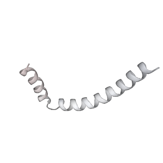 43327_8vkq_LD_v1-0
CW Flagellar Switch Complex - FliF, FliG, FliM, and FliN forming the C-ring from Salmonella