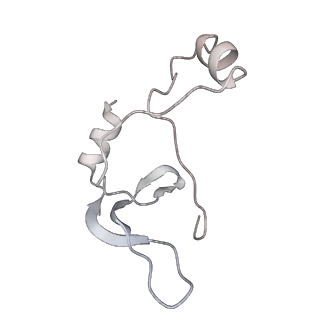 43327_8vkq_LF_v1-0
CW Flagellar Switch Complex - FliF, FliG, FliM, and FliN forming the C-ring from Salmonella