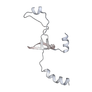 43327_8vkq_L_v1-0
CW Flagellar Switch Complex - FliF, FliG, FliM, and FliN forming the C-ring from Salmonella