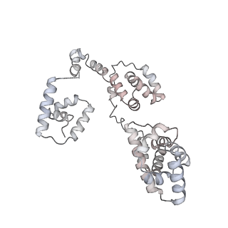 43327_8vkq_MA_v1-0
CW Flagellar Switch Complex - FliF, FliG, FliM, and FliN forming the C-ring from Salmonella