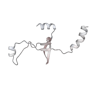 43327_8vkq_MB_v1-0
CW Flagellar Switch Complex - FliF, FliG, FliM, and FliN forming the C-ring from Salmonella