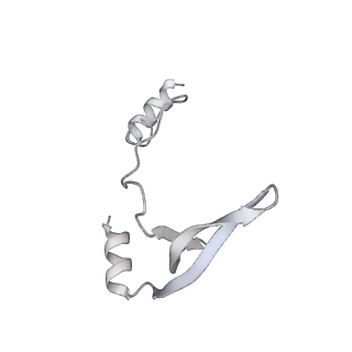 43327_8vkq_MC_v1-0
CW Flagellar Switch Complex - FliF, FliG, FliM, and FliN forming the C-ring from Salmonella