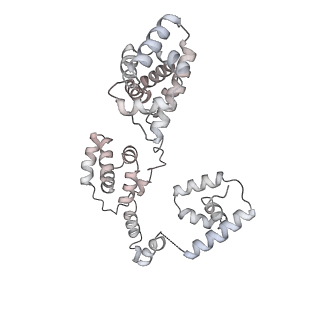 43327_8vkq_MD_v1-0
CW Flagellar Switch Complex - FliF, FliG, FliM, and FliN forming the C-ring from Salmonella