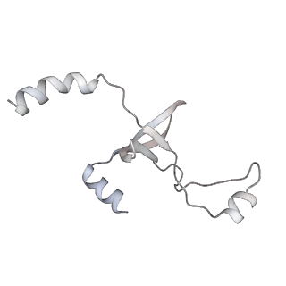 43327_8vkq_ME_v1-0
CW Flagellar Switch Complex - FliF, FliG, FliM, and FliN forming the C-ring from Salmonella