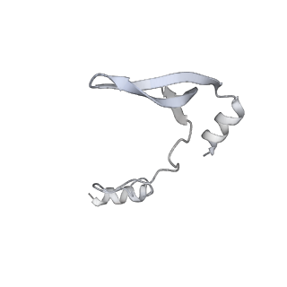 43327_8vkq_MF_v1-0
CW Flagellar Switch Complex - FliF, FliG, FliM, and FliN forming the C-ring from Salmonella