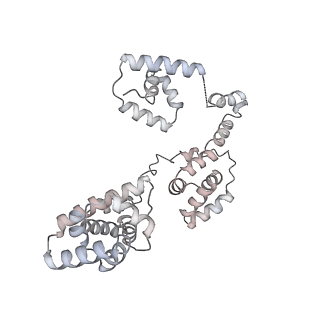 43327_8vkq_MG_v1-0
CW Flagellar Switch Complex - FliF, FliG, FliM, and FliN forming the C-ring from Salmonella