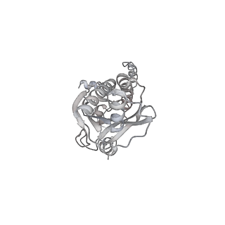 43327_8vkq_M_v1-0
CW Flagellar Switch Complex - FliF, FliG, FliM, and FliN forming the C-ring from Salmonella