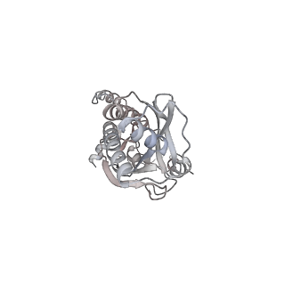 43327_8vkq_NA_v1-0
CW Flagellar Switch Complex - FliF, FliG, FliM, and FliN forming the C-ring from Salmonella