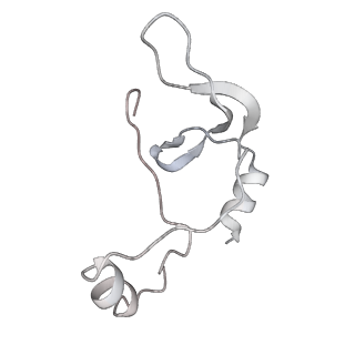 43327_8vkq_NB_v1-0
CW Flagellar Switch Complex - FliF, FliG, FliM, and FliN forming the C-ring from Salmonella