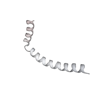 43327_8vkq_NC_v1-0
CW Flagellar Switch Complex - FliF, FliG, FliM, and FliN forming the C-ring from Salmonella