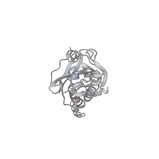 43327_8vkq_ND_v1-0
CW Flagellar Switch Complex - FliF, FliG, FliM, and FliN forming the C-ring from Salmonella