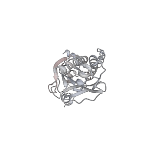 43327_8vkq_NG_v1-0
CW Flagellar Switch Complex - FliF, FliG, FliM, and FliN forming the C-ring from Salmonella