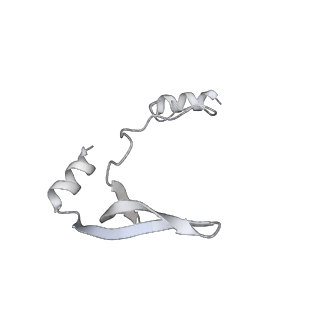 43327_8vkq_OB_v1-0
CW Flagellar Switch Complex - FliF, FliG, FliM, and FliN forming the C-ring from Salmonella