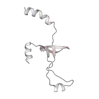 43327_8vkq_OD_v1-0
CW Flagellar Switch Complex - FliF, FliG, FliM, and FliN forming the C-ring from Salmonella