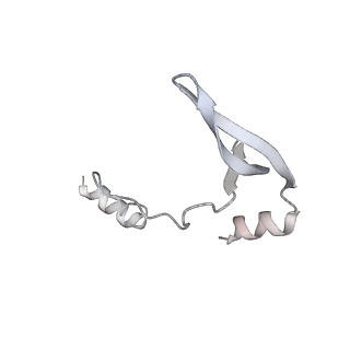 43327_8vkq_OE_v1-0
CW Flagellar Switch Complex - FliF, FliG, FliM, and FliN forming the C-ring from Salmonella