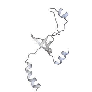 43327_8vkq_OG_v1-0
CW Flagellar Switch Complex - FliF, FliG, FliM, and FliN forming the C-ring from Salmonella