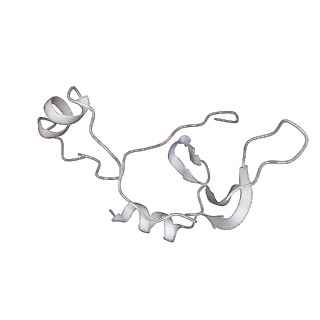 43327_8vkq_O_v1-0
CW Flagellar Switch Complex - FliF, FliG, FliM, and FliN forming the C-ring from Salmonella