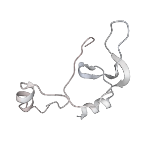 43327_8vkq_PA_v1-0
CW Flagellar Switch Complex - FliF, FliG, FliM, and FliN forming the C-ring from Salmonella