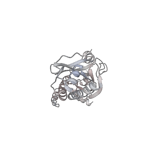 43327_8vkq_PC_v1-0
CW Flagellar Switch Complex - FliF, FliG, FliM, and FliN forming the C-ring from Salmonella