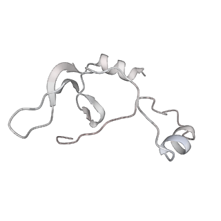 43327_8vkq_PD_v1-0
CW Flagellar Switch Complex - FliF, FliG, FliM, and FliN forming the C-ring from Salmonella