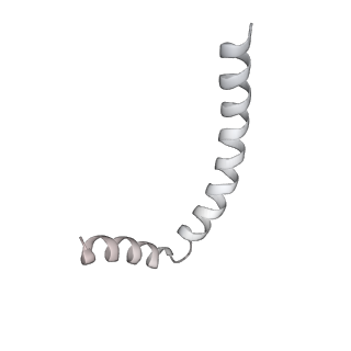 43327_8vkq_PE_v1-0
CW Flagellar Switch Complex - FliF, FliG, FliM, and FliN forming the C-ring from Salmonella