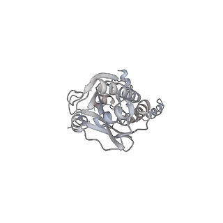 43327_8vkq_PF_v1-0
CW Flagellar Switch Complex - FliF, FliG, FliM, and FliN forming the C-ring from Salmonella